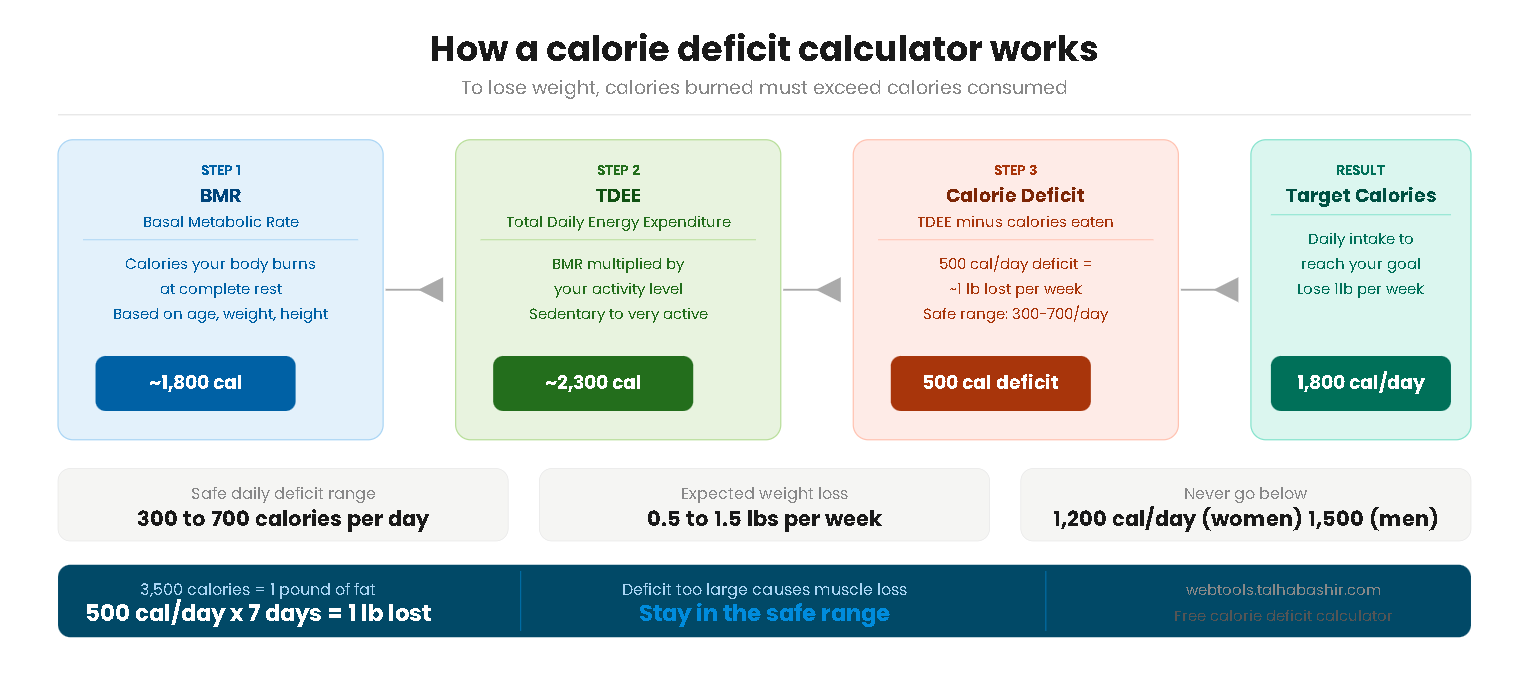 Infographic showing how a calorie deficit calculator works using BMR TDEE and daily calorie targets for weight loss