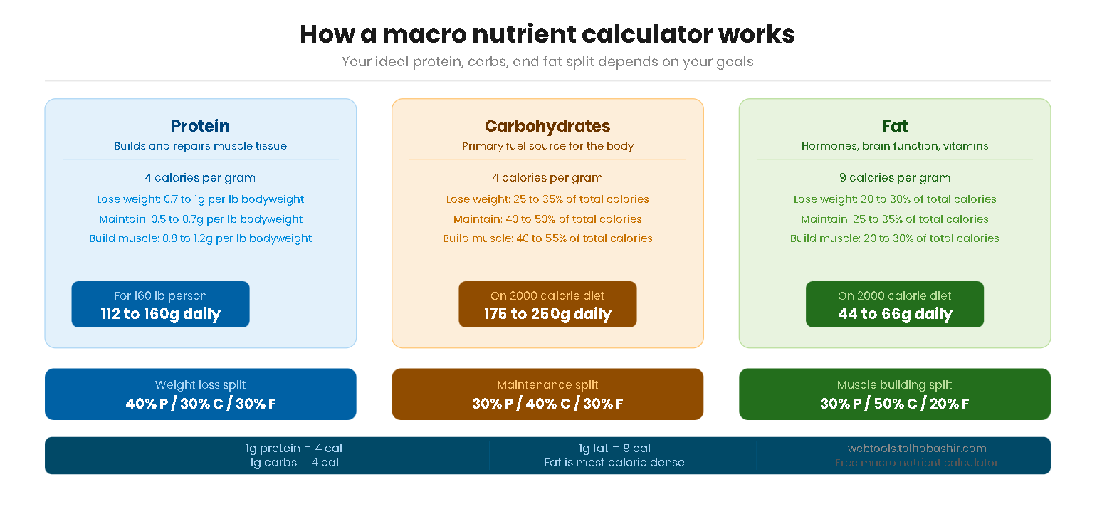 Infographic showing how a macro nutrient calculator splits daily protein carbs and fat intake based on fitness goals